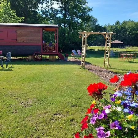 Pibo B&B Babbita-3